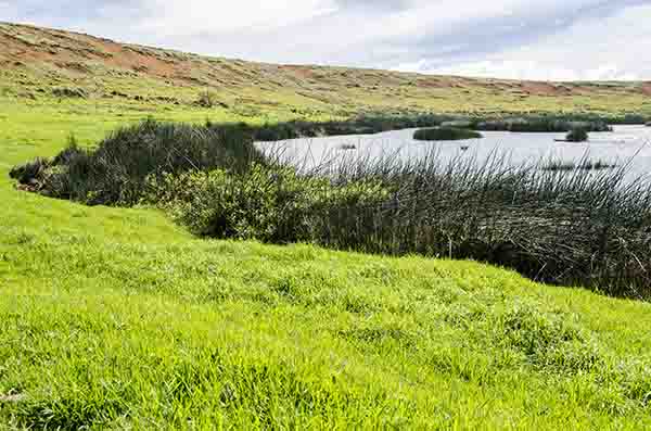 37 - Chile - isla de Rapa Nui o Pascua - Rano Raraku - crater